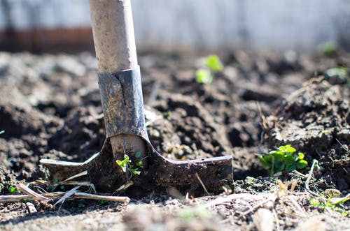 Giardinaggio: guida alla misurazione del ph nel terreno