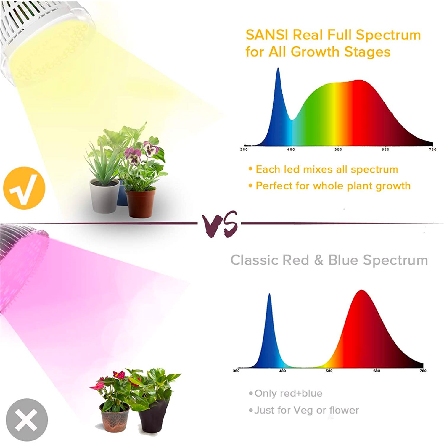 La Luce è fondamentale - Luce Led per le piante d'appartamento